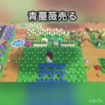 【あつ森】ズボラさんの簡単にベル稼ぐ方法　#vlog #あつ森 #あつまれどうぶつの森 #こはくちゃんねる2424 #animalcrossing #asmr #acnh #shorts  0→1