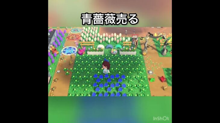 【あつ森】ズボラさんの簡単にベル稼ぐ方法　#vlog #あつ森 #あつまれどうぶつの森 #こはくちゃんねる2424 #animalcrossing #asmr #acnh #shorts  0→1