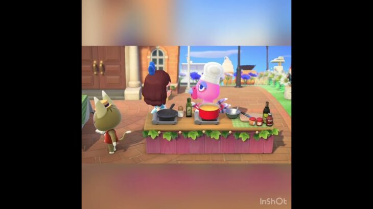 【あつ森】こんぺい島　サンクスギビングデー　#vlog #あつ森 #あつまれどうぶつの森 #こはくちゃんねる2424 #animalcrossing #asmr #acnh #shorts  0→1