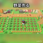 【あつ森】ズボラさんの簡単にベル稼ぐ方法　#vlog #あつ森 #あつまれどうぶつの森 #こはくちゃんねる2424 #animalcrossing #asmr #acnh #shorts  0→1