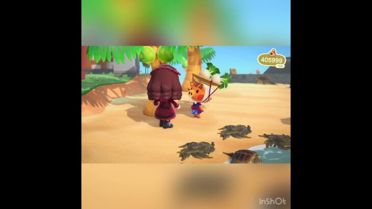 【あつ森】毎日カブ売ってみた　結果　ベル稼ぐ　#vlog #あつ森 #あつまれどうぶつの森 #こはくちゃんねる2424 #animalcrossing #asmr #acnh #shorts  0→1