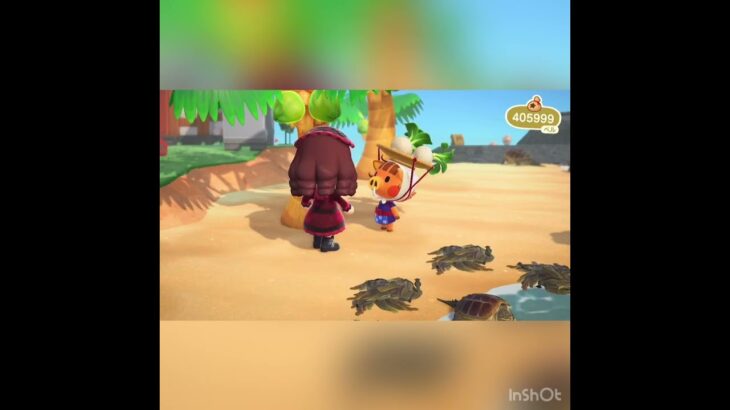 【あつ森】毎日カブ売ってみた　結果　ベル稼ぐ　#vlog #あつ森 #あつまれどうぶつの森 #こはくちゃんねる2424 #animalcrossing #asmr #acnh #shorts  0→1