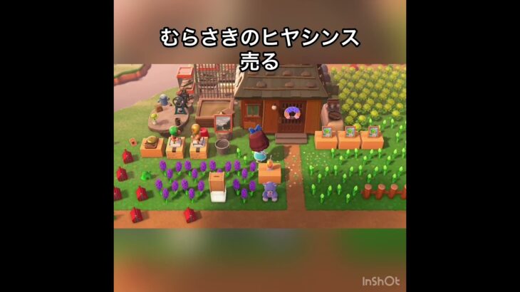 【あつ森】ズボラな私のベル稼ぎ　#vlog #あつ森 #あつまれどうぶつの森 #こはくちゃんねる2424 #animalcrossing #asmr #acnh #shorts  0→1