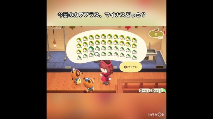 【あつ森】毎日カブ売ってみた　結果　ベル稼ぐ　#vlog #あつ森 #あつまれどうぶつの森 #こはくちゃんねる2424 #animalcrossing #asmr #acnh #shorts  0→1