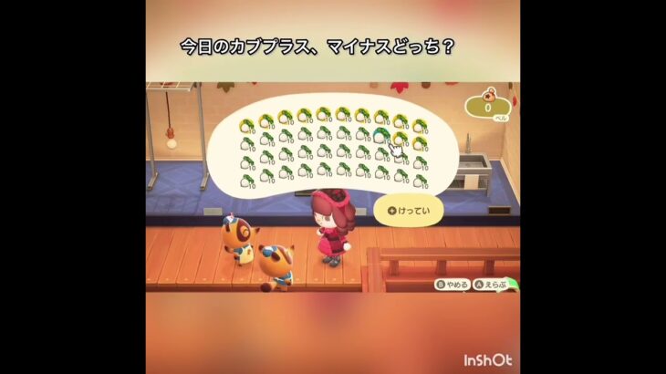 【あつ森】毎日カブ売ってみた　結果　ベル稼ぐ　#vlog #あつ森 #あつまれどうぶつの森 #こはくちゃんねる2424 #animalcrossing #asmr #acnh #shorts  0→1