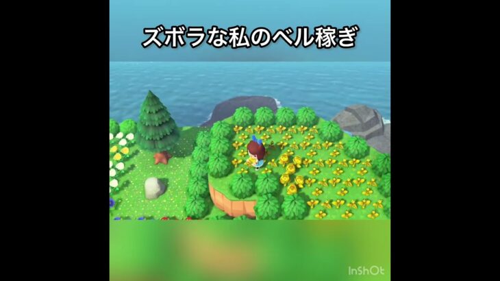 【あつ森】金のバラでベル稼ぐ　#vlog #あつ森 #あつまれどうぶつの森 #こはくちゃんねる2424 #animalcrossing #asmr #acnh #shorts  0→1