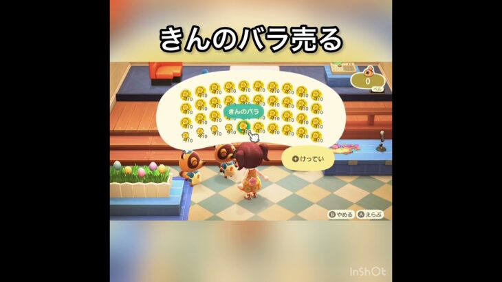 【あつ森】ズボラな私のベル稼ぎ　#vlog #あつ森 #あつまれどうぶつの森 #こはくちゃんねる2424 #animalcrossing #asmr #acnh #shorts  0→1