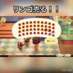 【あつ森】ズボラな私のベル稼ぎ　#vlog #あつ森 #あつまれどうぶつの森 #こはくちゃんねる2424 #animalcrossing #asmr #acnh #shorts  0→1