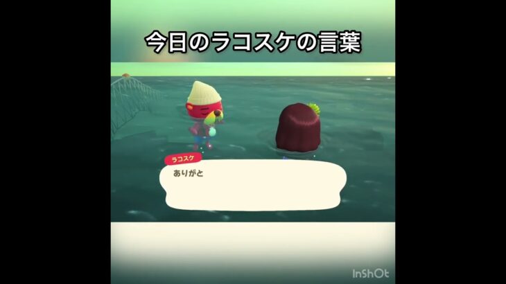 【あつ森】ラコスケに会いに海に潜る　#vlog #あつ森 #あつまれどうぶつの森 #こはくちゃんねる2424 #animalcrossing #asmr shorts  0→1 #今日　#大好き