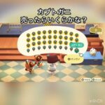 【あつ森】カブトガニ売って稼ぐ　vlog #あつ森 #あつまれどうぶつの森 #こはくちゃんねる2424 #animalcrossing #asmr #shorts  0→1 #今日　大好き