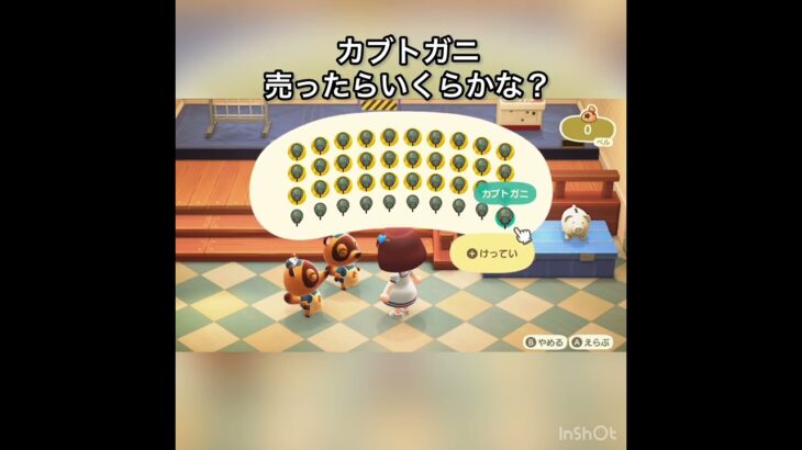 【あつ森】カブトガニ売って稼ぐ　vlog #あつ森 #あつまれどうぶつの森 #こはくちゃんねる2424 #animalcrossing #asmr #shorts  0→1 #今日　大好き