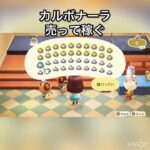 【あつ森】カルボナーラ売って稼ぐ　#vlog #あつまれどうぶつの森 #こはくちゃんねる2424 #animalcrossing #asmr #shorts  0→1 #今日　大好き