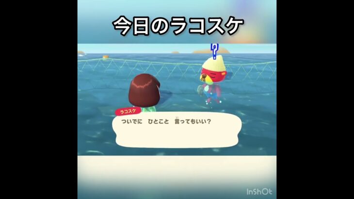 【あつ森】ラコスケに会いに海に潜る　#vlog #あつ森 #あつまれどうぶつの森 #こはくちゃんねる2424 #animalcrossing #asmr shorts  0→1 #今日　#大好き