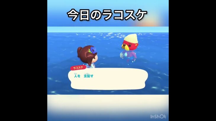 【あつ森】ラコスケに会いに海に潜る　#vlog #あつ森 #あつまれどうぶつの森 #こはくちゃんねる2424 #animalcrossing #asmr shorts  0→1 #今日　#大好き