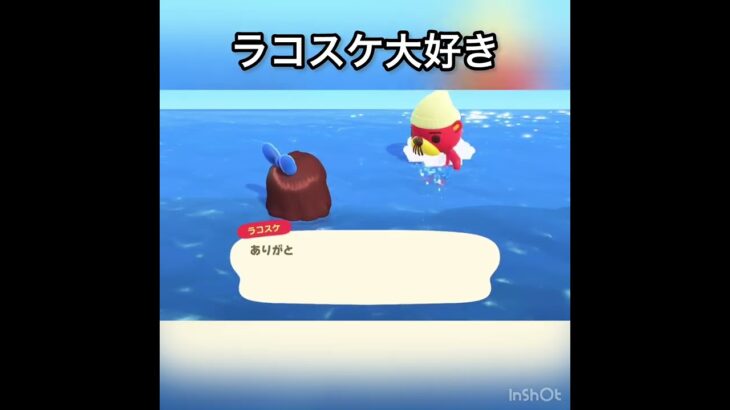 【あつ森】ラコスケに会いに海に潜る　#vlog #あつ森 #あつまれどうぶつの森 #こはくちゃんねる2424 #animalcrossing #asmr shorts  0→1 #今日　#大好き