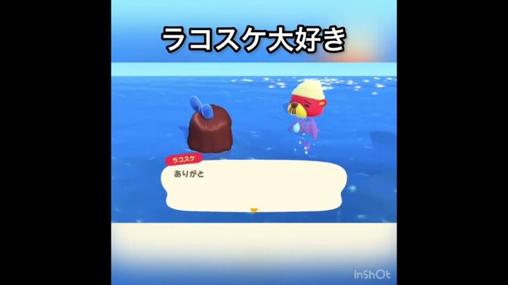 【あつ森】ラコスケに会いに海に潜る　#vlog #あつ森 #あつまれどうぶつの森 #こはくちゃんねる2424 #animalcrossing #asmr shorts  0→1 #今日　#大好き