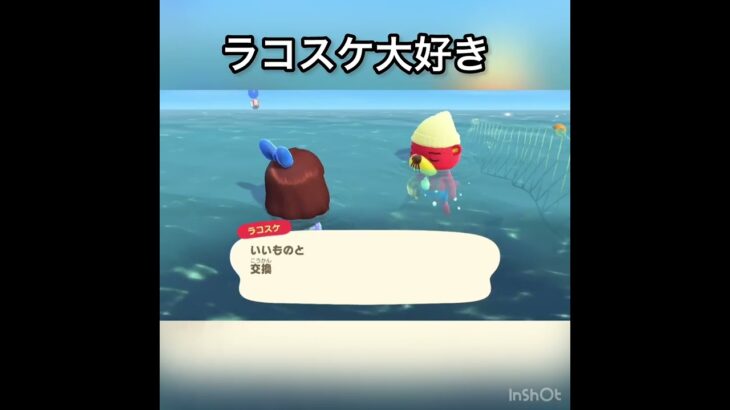 【あつ森】ラコスケに会いに海に潜る　#vlog #あつ森 #あつまれどうぶつの森 #こはくちゃんねる2424 #animalcrossing #asmr shorts  0→1 #今日　#大好き