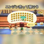 【あつ森】ニンジン売って稼ぐ　#vlog #あつまれどうぶつの森 #こはくちゃんねる2424 #animalcrossing #asmr #shorts  0→1 #今日　大好き