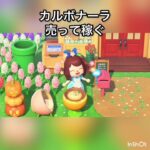 【あつ森】パスタ売って稼ぐ　#vlog #あつまれどうぶつの森 #こはくちゃんねる2424 #animalcrossing #asmr #shorts  0→1 #今日　大好き