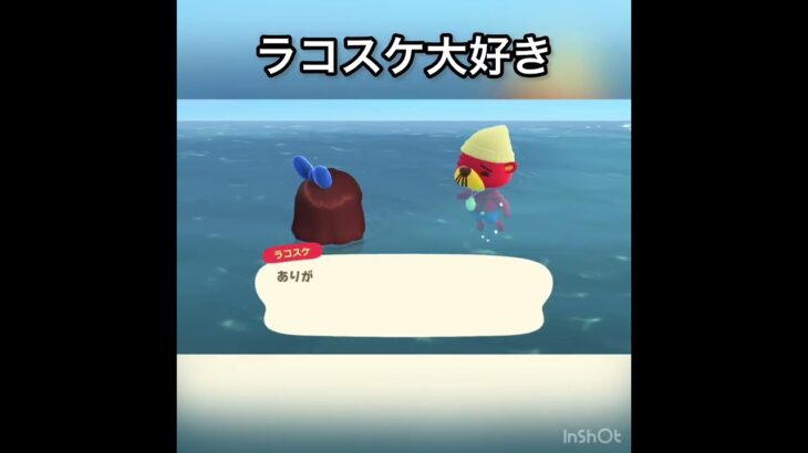【あつ森】ラコスケに会いに海に潜る　#vlog #あつ森 #あつまれどうぶつの森 #こはくちゃんねる2424 #animalcrossing #asmr shorts  0→1 #今日　#大好き