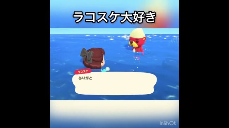 【あつ森】ラコスケに会いに海に潜る　#vlog #あつ森 #あつまれどうぶつの森 #こはくちゃんねる2424 #animalcrossing #asmr shorts  0→1 #今日　#大好き