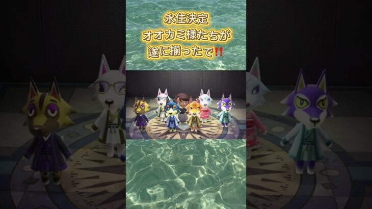 #あつ森 #あつ森vlog #ゲーム #あつまれどうぶつの森 #animalcrossing