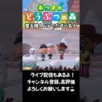 【あつ森】雪玉職人 vs いたずら名人 #acnh #ゲーム #animalcrossing #あつ森 #あつ森vlog #あつまれどうぶつの森 #雪だるま