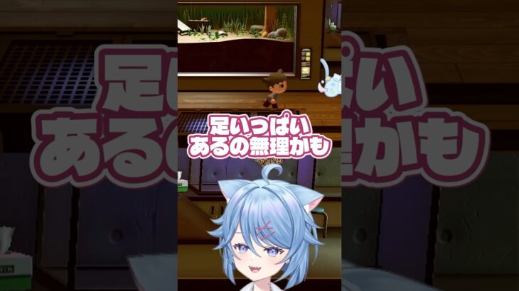 【あつ森】タランチュラ苦手民、勇気出して捕獲→展示見に行ったら即退散 #猫蒼おにく #vtuber #あつ森 #あつまれどうぶつの森