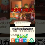 カイジで見たシステム #あつ森 #ハッピーホームパラダイス #vtuber