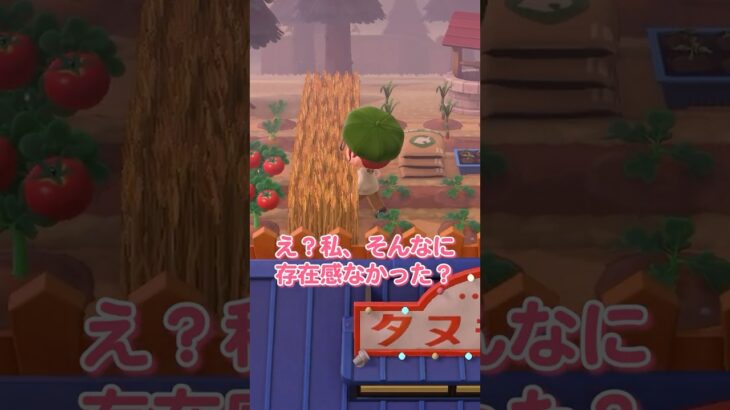 冒険者もびっくりの現実ステルス体験！【セナリア】#あつ森 #vtuber