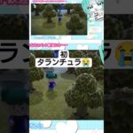 #あつ森 パニック！！初タランチュラに鳥肌やばい(´；ω；｀)#あつまれどうぶつの森 #vtuber #ゲーム実況 #vtuber準備中 #参加型 #毎日投稿 #初見歓迎