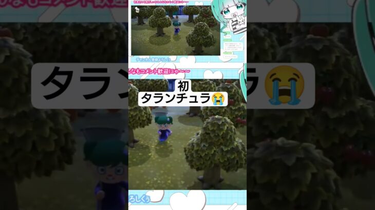 #あつ森 パニック！！初タランチュラに鳥肌やばい(´；ω；｀)#あつまれどうぶつの森 #vtuber #ゲーム実況 #vtuber準備中 #参加型 #毎日投稿 #初見歓迎