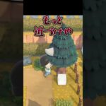 木からめっちゃベル出ると思ったら…w【あつ森】