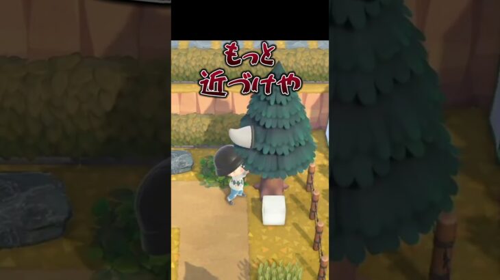 木からめっちゃベル出ると思ったら…w【あつ森】