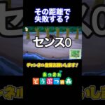 あつ森のクワガタを捕まえるセンスが世界一ないやつw #shorts #あつまれどうぶつの森 #あつ森