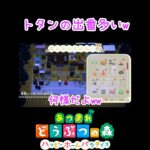 【あつ森】トタンの出番多いw#shorts