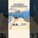 【あつ森】なぜ！？突然消えた大きな魚影の謎w【あつまれどうぶつの森】#shorts #あつ森