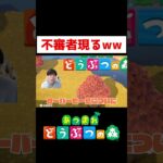 【あつ森】ウマ？ラクダ？ww#ゲーム実況 #shorts #あつまれどうぶつの森 #あつ森