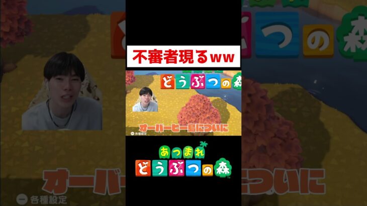 【あつ森】ウマ？ラクダ？ww#ゲーム実況 #shorts #あつまれどうぶつの森 #あつ森