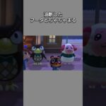 【あつ森】あと少しで終わるところで油断したフータとちゃちゃまる😂最後は笑顔でごまかした？😆ww【あつまれどうぶつの森】【どうぶつの森】【ACNH】 #short