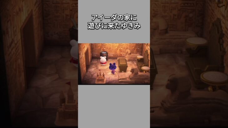 【あつ森】アイーダの家にある家具に興味津々なゆきみ😊✨でも写真を撮ろうとして撮らないのはなんで？😆ww【あつまれどうぶつの森】【どうぶつの森】【ACNH】 #short