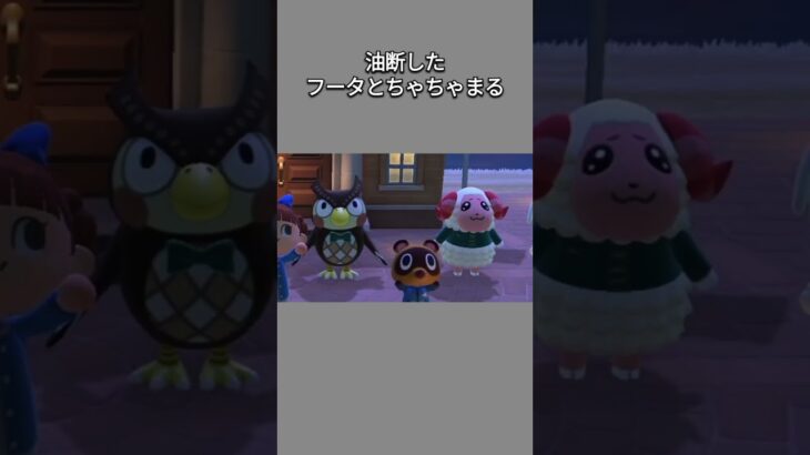 【あつ森】あと少しで終わるところで油断したフータとちゃちゃまる😂最後は笑顔でごまかした？😆ww【あつまれどうぶつの森】【どうぶつの森】【ACNH】 #short
