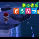 ［yopi］たもつが早寝の為、早めにあつ森します【あつまれどうぶつの森】