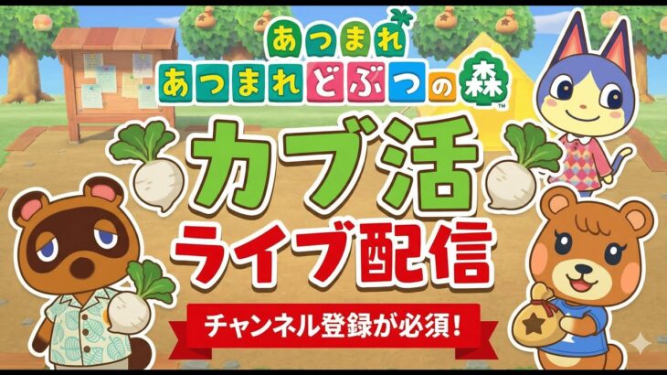 カブ活できる！！　08【あつ森参加型】カブ活ライブ開催中！チャンネル登録必須で誰でも参加OK♪【わくてん】