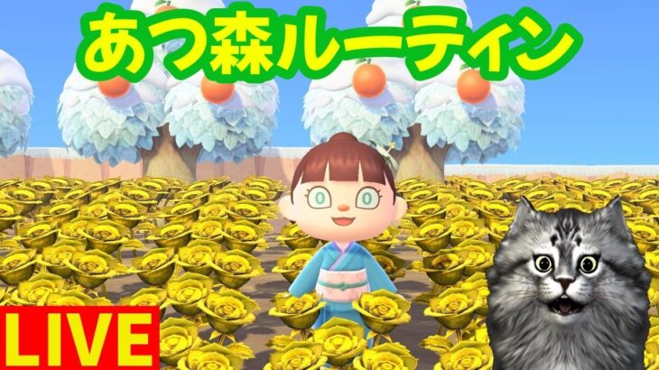 【あつ森】お札の山が高額買い取りだ！1億ベル超えるぞ！　カラメルロ島ルーティン2026/1/21