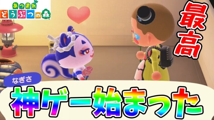 #1【あつ森にフウカちゃんそっくりのキャラ登場！】めっちゃデレデレしてくれて神ゲー確定だ！【あつまれどうぶつの森実況】