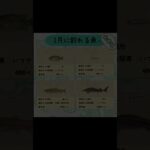 #あつまれどうぶつの森 #あつ森 #1月 #海の幸 #switch #ゲーム配信 #チャンネル登録と高評価お願いします