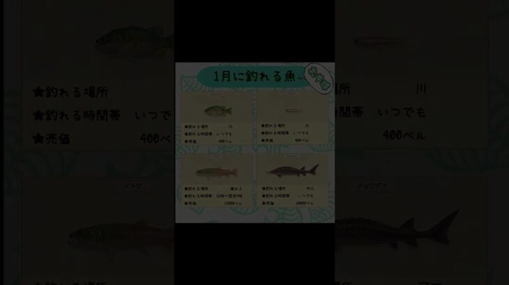 #あつまれどうぶつの森 #あつ森 #1月 #海の幸 #switch #ゲーム配信 #チャンネル登録と高評価お願いします