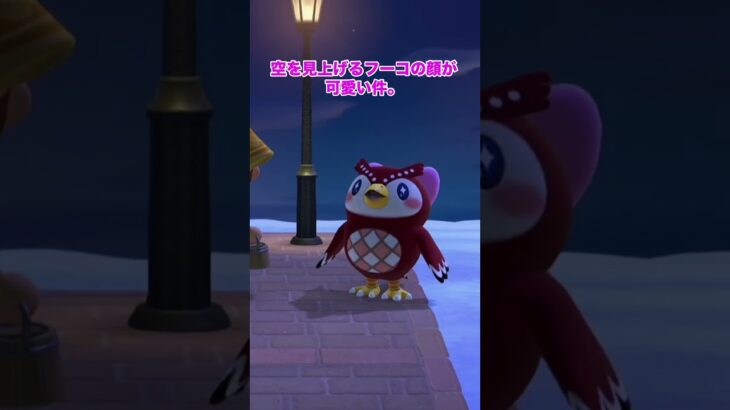 10 あつまれどうぶつの森　あつ森　フーコ　流星群