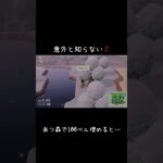 あつ森で100ベル埋めるとどうなる？#どう森 #どうぶつの森 #あつ森  #カップル実況 #ゲーム実況 #animalcrossing